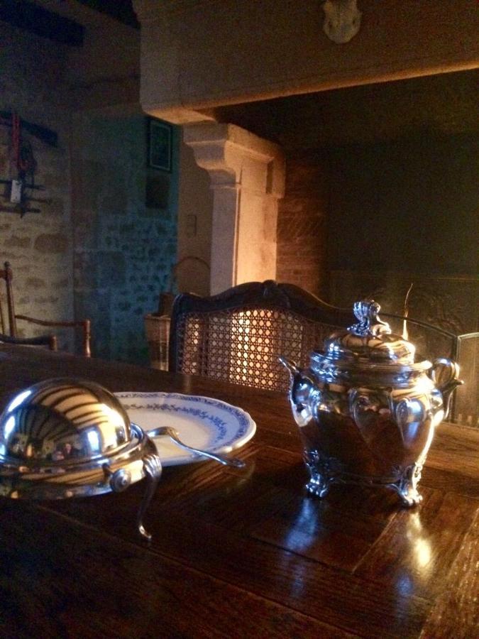 Logis De La Touche Panzió Saint-Hilaire-des-Loges Kültér fotó